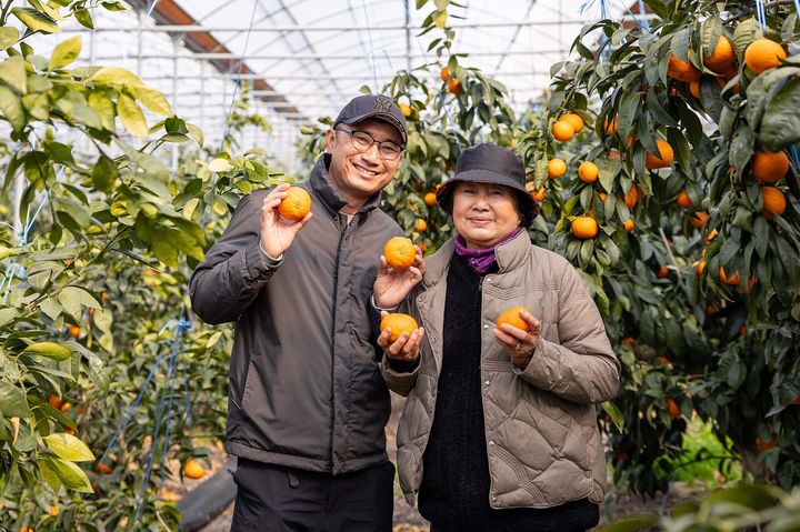 이번엔 제주 농가와 상생한다…쿠팡, 만감류 20t 매입 할인 판매