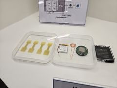 韓도 뇌에 칩 심는다는데…K-뉴럴링크, 머스크의 뉴럴링크와 어떻게 다를까