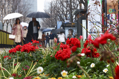 포근하지만 큰 일교차…밤부터 전국에 봄비[오늘날씨]