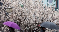 경기남부 아침부터 비 예보…"강한 바람 주의"