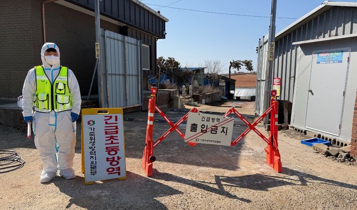 논산 오리농장서 고병원성 AI 확진…충남 일제 정밀검사