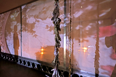 연꽃 이름처럼…로터스 강, 韓 첫 개인전 ‘코라’