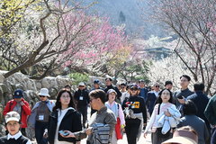 맑지만 일교차 큰 춘분…안개·강풍 주의[오늘날씨]