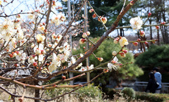 구름 많고 제주엔 비…일교차 큰 봄 날씨 '계속'[다음주 날씨]