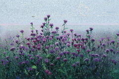 가시 끝에 남은 생의 온기…이명화 ‘엉겅퀴’ 축복 [아트서울]