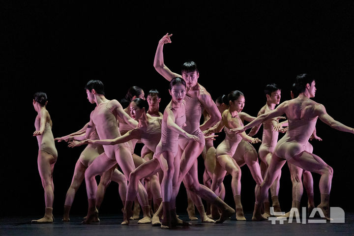 꿈틀대는 생명력과 에너지…춤의 무한한 가능성 보여준 '재키'[객석에서]