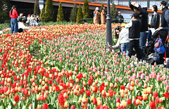 일교차 크고 대기 건조…곳곳 미세먼지도