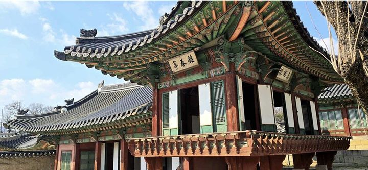 올봄 ‘인생샷 명당’은 창덕궁…창호 열리자 봄이 액자 속으로