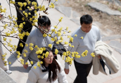 낮 최고 19도 완연한 봄…일교차는 커[내일날씨]