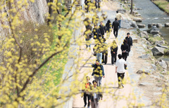 주말 전국 낮 20도 '포근'…다음주 초 전국에 '봄비'