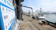 "기름값·인건비 이중고"…다대포 어민들 조업 포기 위기