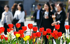 낮 최고 21도 '일교차 주의'…남부·제주 낮까지 비