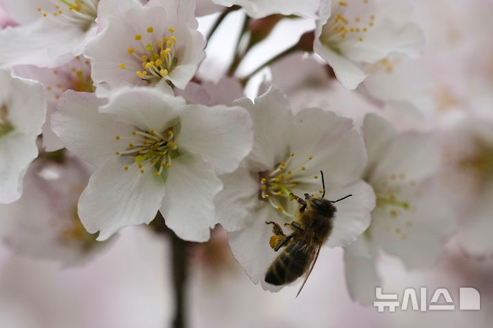 영 2월 인플레 3.0% 유지…3월 급상승 전망