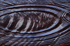 시간을 깎고 덧칠하다…이경우 ‘옻칠 조형’[아트서울]