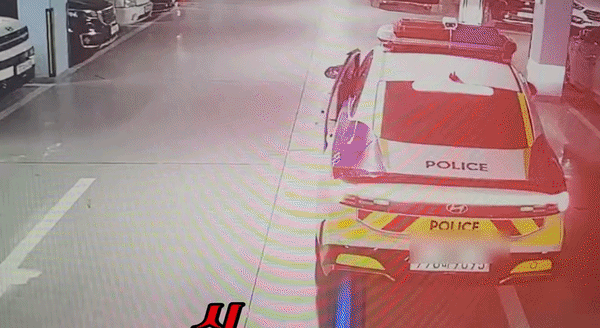 도주 절도범 향해 몸 던졌다…주차장 '블로킹 체포' 경찰 화제