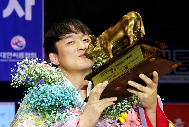 한국 스포츠, 씨름과 농구의 연승 행진과 창단 첫 승 소식