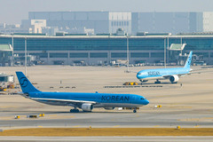 "홍콩 대신 동해로"…치솟는 항공권 가격에 여름휴가 '비상'