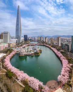 석촌호수 벚꽃놀이 방문객 60만 육박…여의도는 22만