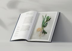 미셰린★ 셰프·궁중음식 이수자 한식 레시피는 다를까…한국의집 조리서 발간