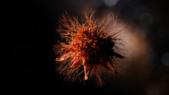 "비만·수면·탄수화물"…암 재발 좌우하는 3요소