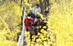 낮 최고 25도까지 오른다…미세먼지는 '나쁨'[오늘날씨]