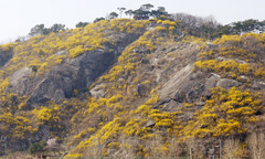 일교차 크고 대기 건조…미세먼지도 '나쁨'[내일날씨]