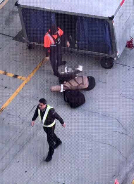 "이러니 망가지지"…고가 악기 수하물 내던진 美 공항 직원