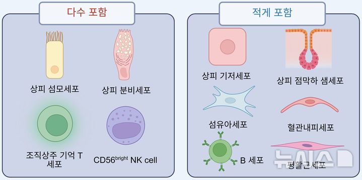 '면역 최전방' 코 점막 검사…환자고통 낮추는 '이 방법'