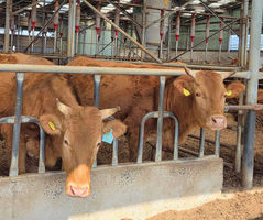 한우 소비 촉진 나선 자조금…체험형 캠페인으로 수요 확대
