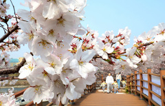 전국 흐리고 오전까지 비…낮 최고 21도 '포근'[내일날씨]