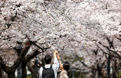 포근하지만 큰 일교차…건조특보에 '화재 조심'[내일날씨]