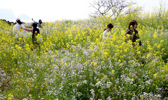 쌀쌀한 아침 지나 포근한 낮…서울 미세먼지 '나쁨'[오늘날씨]