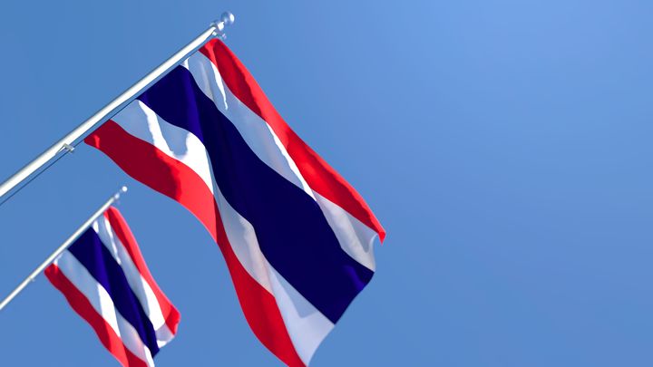 태국 미인대회 참가자, 무대 위 '치아 보철물' 탈락에도 침착 대처 화제