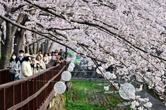 전국에 봄비…내륙 중심 일교차 15도