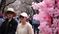 제주 낮 21도 '포근', 5㎜ 안팎 비…늦은 오후부터 찬공기
