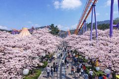 만우절 이벤트부터 벚꽃·K-컬처까지…봄 만난 서울랜드