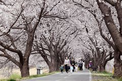 전국 흐리고 오전까지 '봄비'…낮 최고 21도 '포근'[오늘날씨]