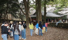 관광객 북적이는 제주 인생샷 명소