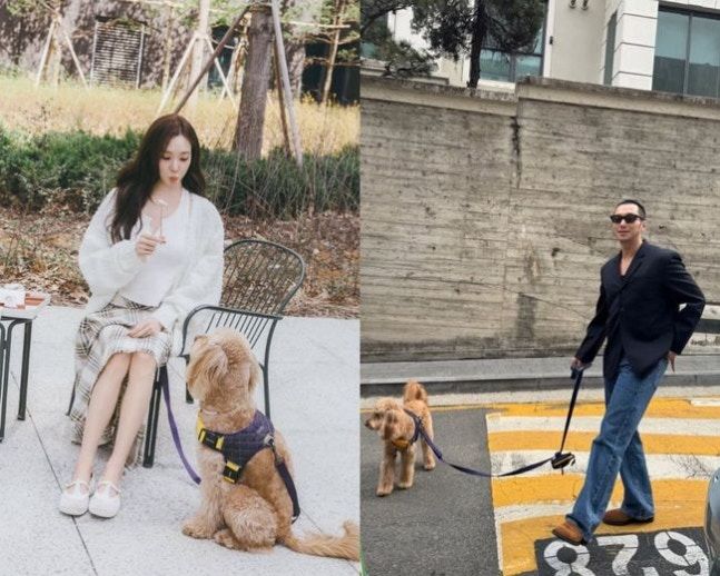 '2월 혼인신고' 변요한·티파니 영, 부부 동반 반려견 산책?