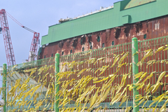 '세월호 7시간' 청와대 문서, 12년 만에 빛 보나…파기환송심 승소