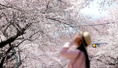 제주, 아침기온 전날 대비 5~8도↓…"체감온도 더 낮아"