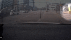 "도로에 소가 달려요" 천안 번화가 휘저은 황소…안전 포획(영상)