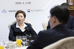 경찰, '이언주 합성 음란물' 게시 혐의 기업인 압수수색