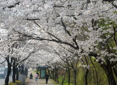 전북 낮 21~24도 '가끔 구름'…짙은 안개·큰 일교차·주의