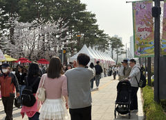 "당신에게 시는 무엇인가요?"… 벚꽃 아래 문 연 '시(詩)사랑약국'
