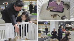 김정은, 딸 김주애와 평양 화성지구 4단계 상업시설 점검