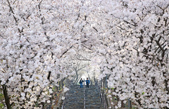 대구·경북, 최대 20㎜ 비…아침 7도·한낮 18도