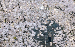 북서쪽 찬 공기 남하…대구·경북 7일 아침 '쌀쌀'
