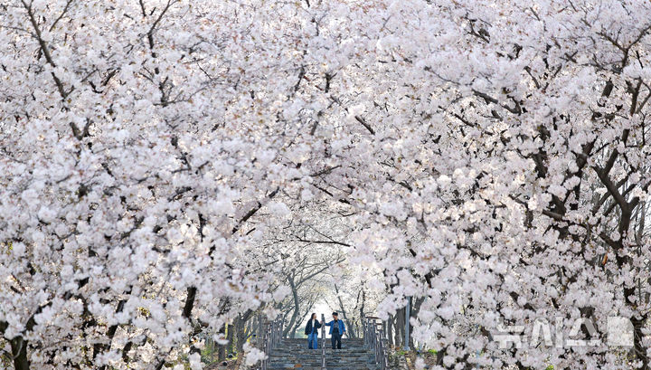 계단 아래로 쏟아지는 ‘봄’