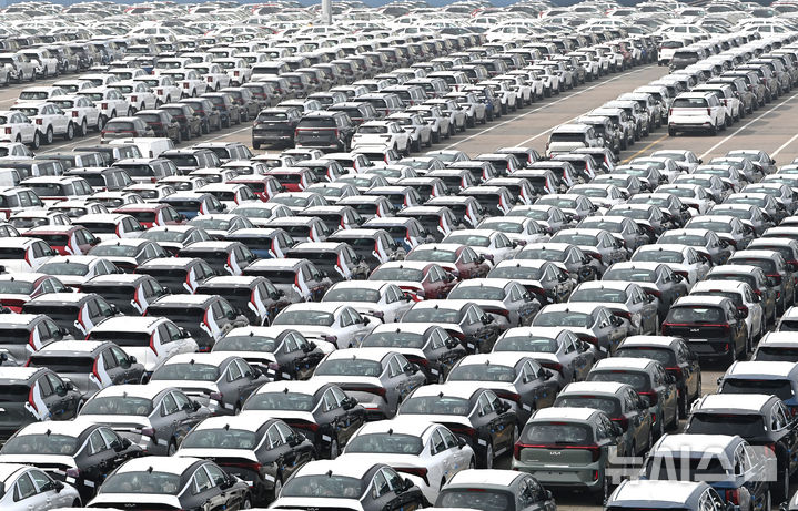 평택항에 세워져 있는 수출용 자동차